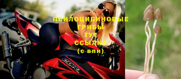 a pvp Абинск