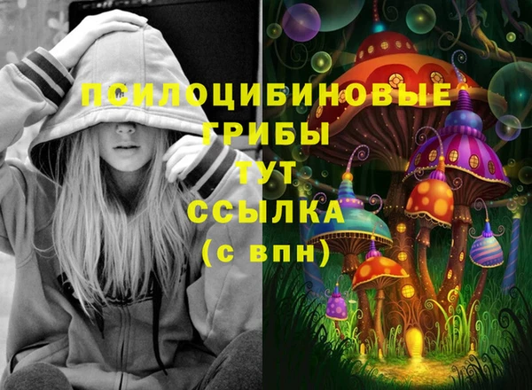 a pvp Абинск